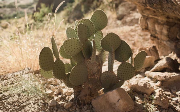 outdoor adventure trip for high school students in texas